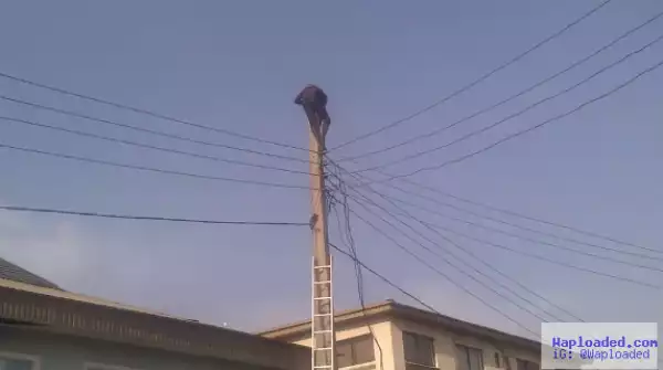 Video & Photos: Man attempts suicide by climbing electical pole in Lekki, says he won